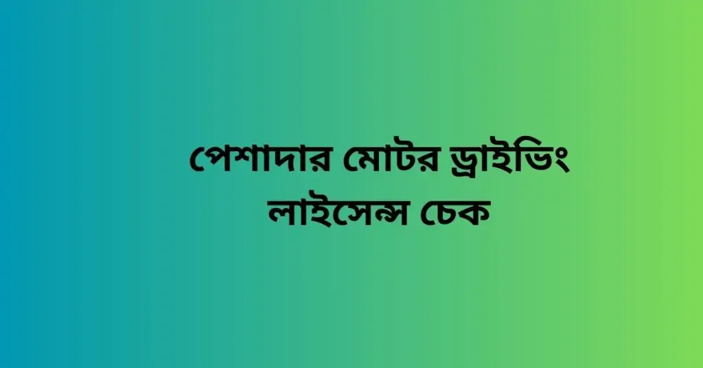 পেশাদার মোটর ড্রাইভিং লাইসেন্স চেক