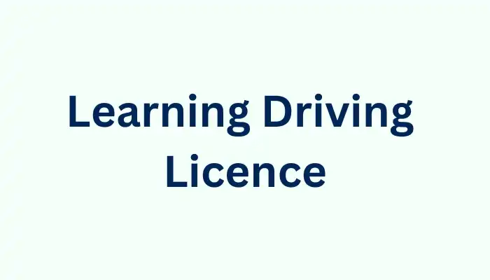 Learning Driving Licence