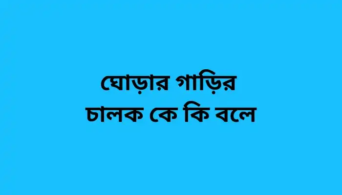 ঘোড়ার গাড়ির চালক কে কি বলে