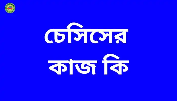 চেসিসের কাজ কি