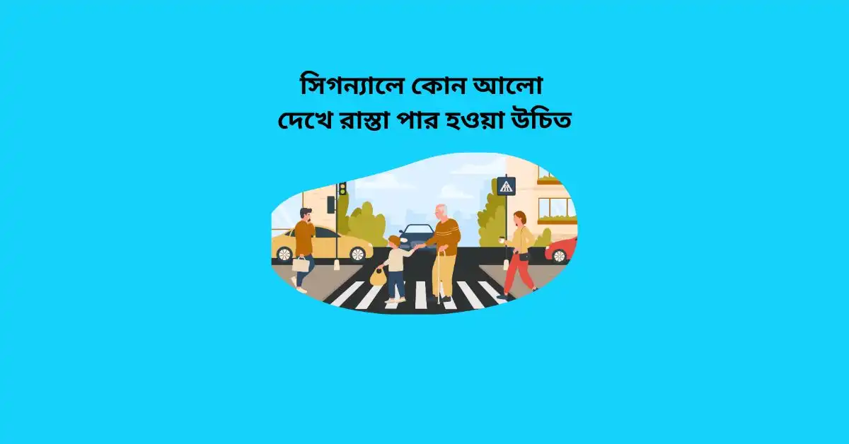 সিগন্যালে কোন আলো দেখে রাস্তা পার হওয়া উচিত | Best Road Crossing Rules